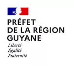 Logo Préfecture de Guyane - Liberté Egalité Fraternité